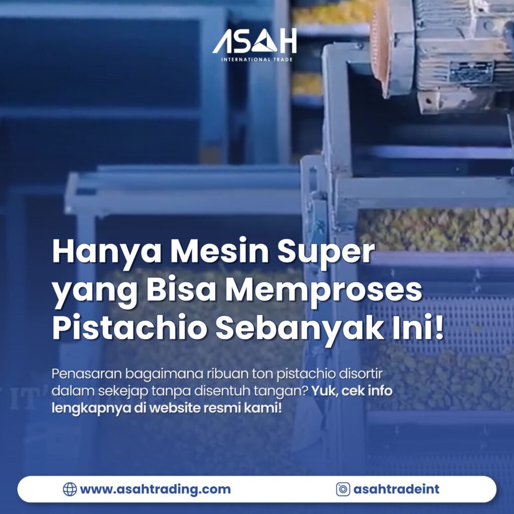 Mesin sortir pistachio otomatis yang memproses ribuan ton pistachio di pabrik